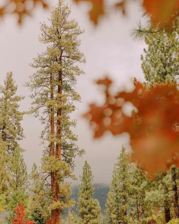 Colorado Lodge Big Bear Lake Dış mekan fotoğraf